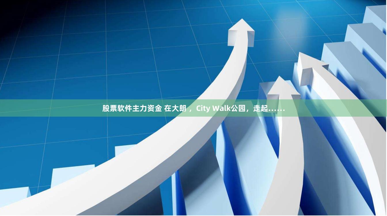 股票软件主力资金 在大朗 ，City Walk公园，走起……