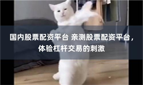 国内股票配资平台 亲测股票配资平台，体验杠杆交易的刺激